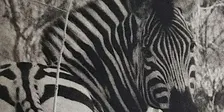 Printmaking Workshop Series - Photopolymer etching