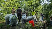 Volunteer Workday at Rambler Trust