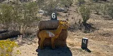 3D ARCHERY