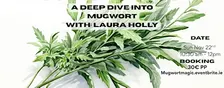 Mugwort Magic: A Deep Dive into the powers of Mugwort
