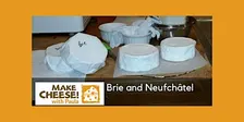 Brie and Neufchâtel