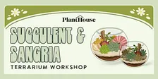 Succulent & Sangria Workshop