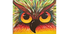 Colorful Owl - Paint and Sip in Chicago | Classpop!™