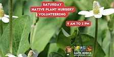 FREE PLANT SATURDAYS! - Native Plant Nursery Volunteering