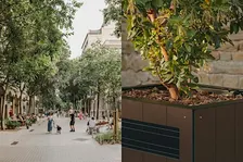 Tecnología y ciudad: innovación urbana