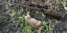 Firearm Safety Course