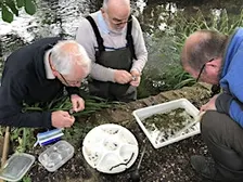 FREE Riverfly monitoring (RMI) training, River Loddon