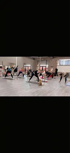 Softpaws&yoga
