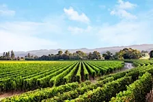 Chart House - Caymus Wine Dinner - Savannah