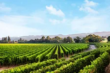Chart House - Caymus Wine Dinner - Melbourne - 11/4