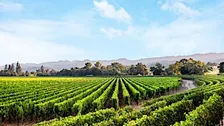 Chart House - Caymus Wine Dinner - Savannah
