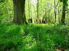 NWT Sweet Briar Marshes - Explore with the warden (Adult event)