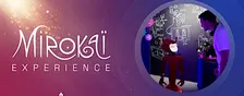 L'expérience Mirokaï - Musée Robotique et IA