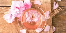 Atelier de création d'infusions florales du printemps