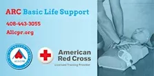 Red Cross Basic Life Support class in Tampa