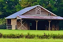 Being With: An Experiential Workshop in Eco-Somatics and Equine Therapies