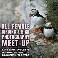 All-female Birding & Bird Photography Meet-Up