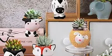 Paint Your Own Animal Succulent Planter