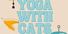 Yin Yoga With Cats