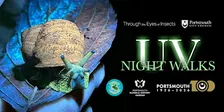 Portsmouth Natural History Museum UV Night Walk