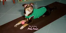 Not Another Pet Fair Sep'26 - RSVP Registration