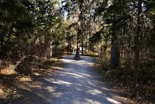 Forest Bathing Walk (ANFT Certified)