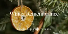 Santa Cruz Memorial Forest | Winter Remembrance Gathering
