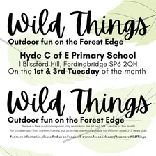 Wild Things (Fizzy Fireworks)