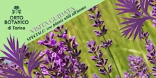 VISITA GUIDATA ORTO BOTANICO DI TORINO speciale 100 PIANTE UTILI ALL'UOMO