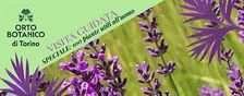 VISITA GUIDATA ORTO BOTANICO DI TORINO speciale 100 PIANTE UTILI ALL'UOMO