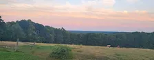 Yoga at Lilac Hedge