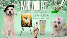 Painting Pets Night, a Comedy Paint and Sip