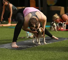 Rescue Puppy Yoga - Hyland Hills Fitness Centers