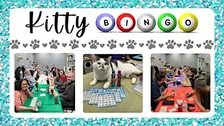 Kitty Bingo