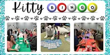 Kitty Bingo