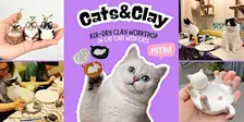 Cats&Clay - clay workshop in cat cafe with cats - Tilburg