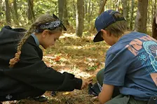 Feather Hill Field School