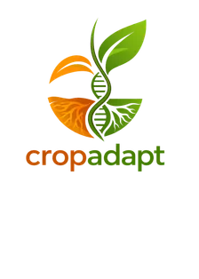 CROPADAPT2026 | Adapt to thrive: Enhancing Multi-Stress Tolerance for Crops
