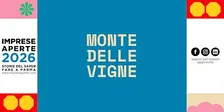 Monte delle Vigne: Alla scoperta del mondo del vino: dalla vigna al calice