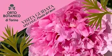 VISITA GUIDATA ORTO BOTANICO DI TORINO La pianta del mese