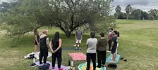 Forest Bathing - Baño de Bosque