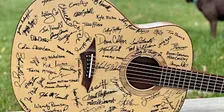 Acoustic Guitar Project