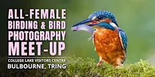All-Female Birding & Bird Photography Morning