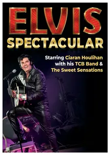Elvis Spectacular