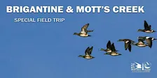 Brigantine and Mott's Creek