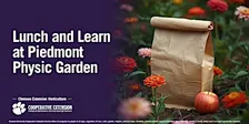 Lunch and Learn at PPG:  Fall Essentials