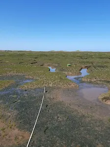 Microplastics – an unseen threat to Norfolk saltmarshes? (NB. date change)