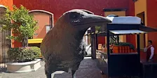 Fabrique José Cuervo  | Aventure Tequila + Cantaritos El Güero Guadalajara