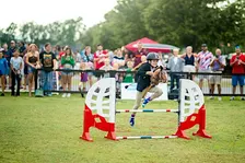 Championship Hobby Horse Competition