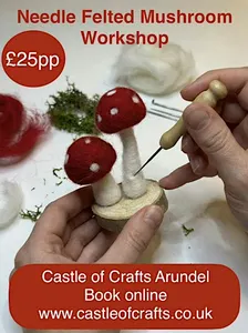 Needle Felting Toadstool Workshop